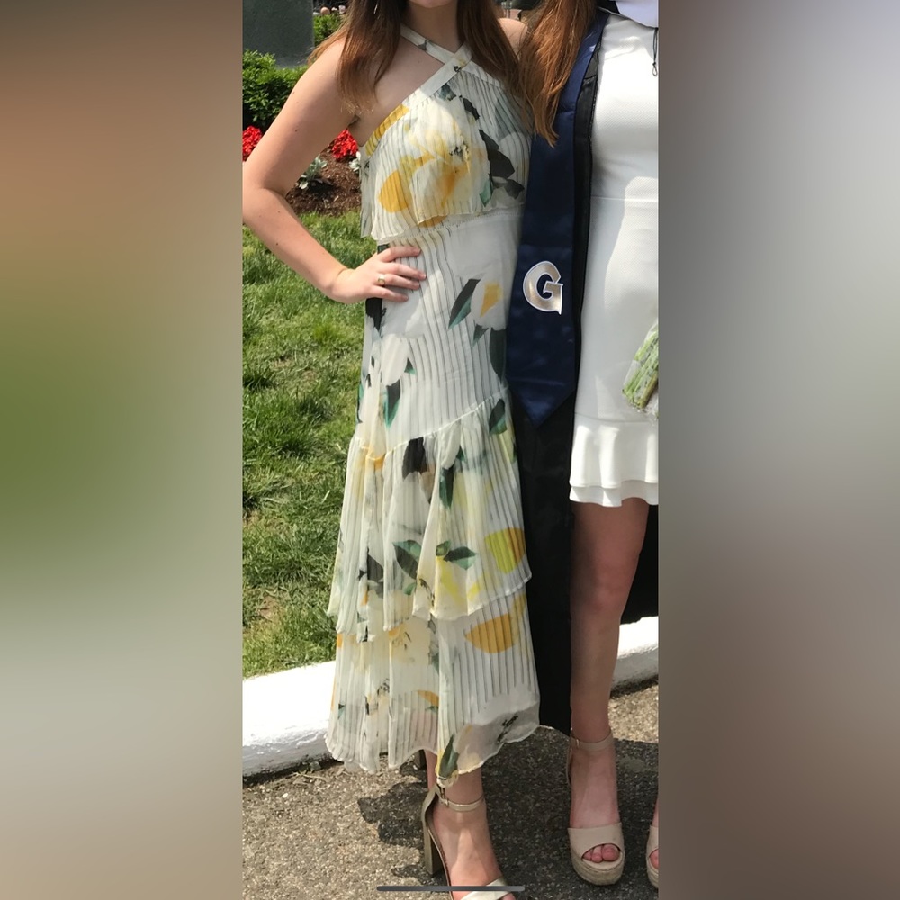 Beautiful Anthropologie Floral Midi Dress Size 0